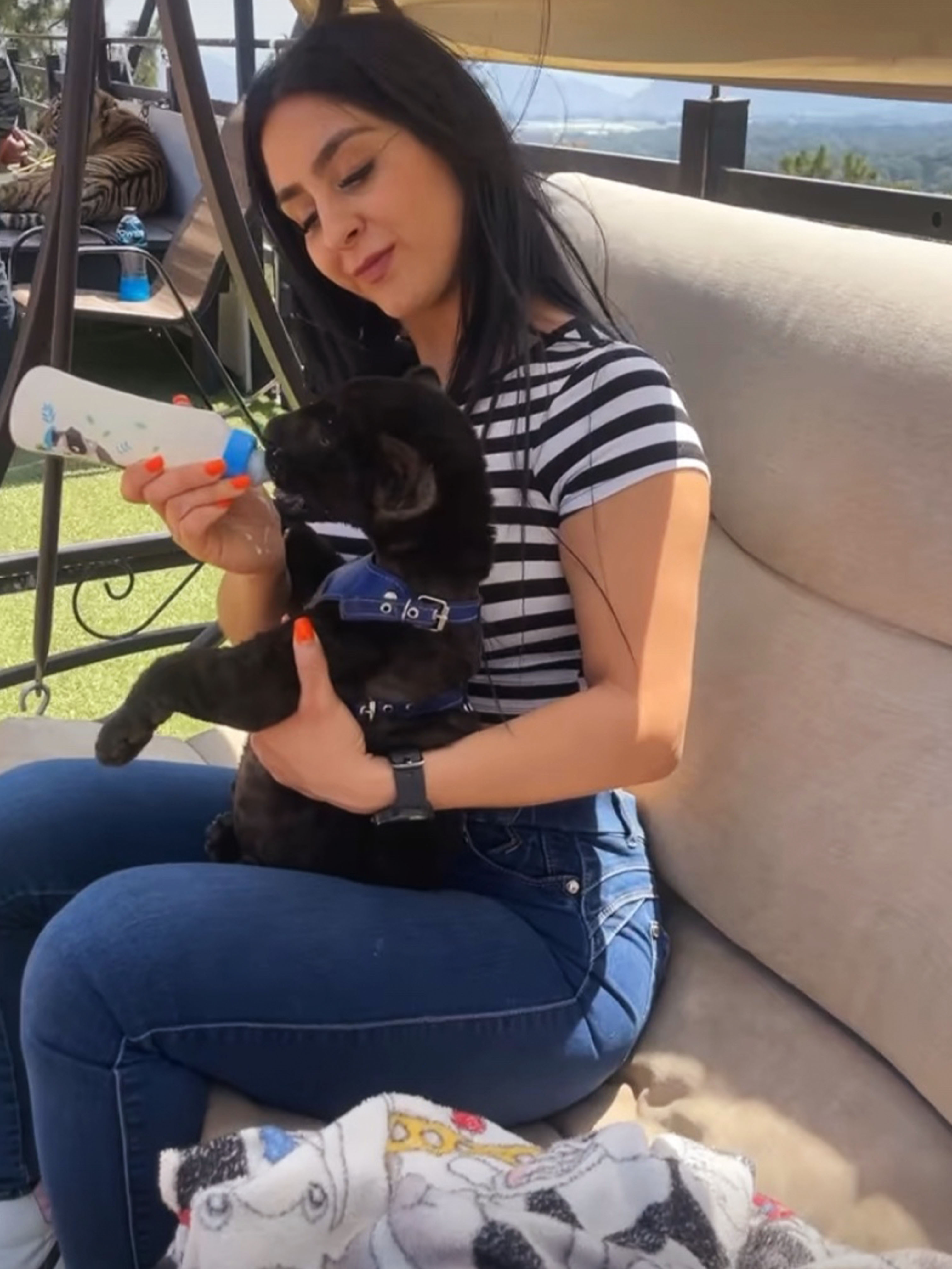 experiences.list.feeding.title