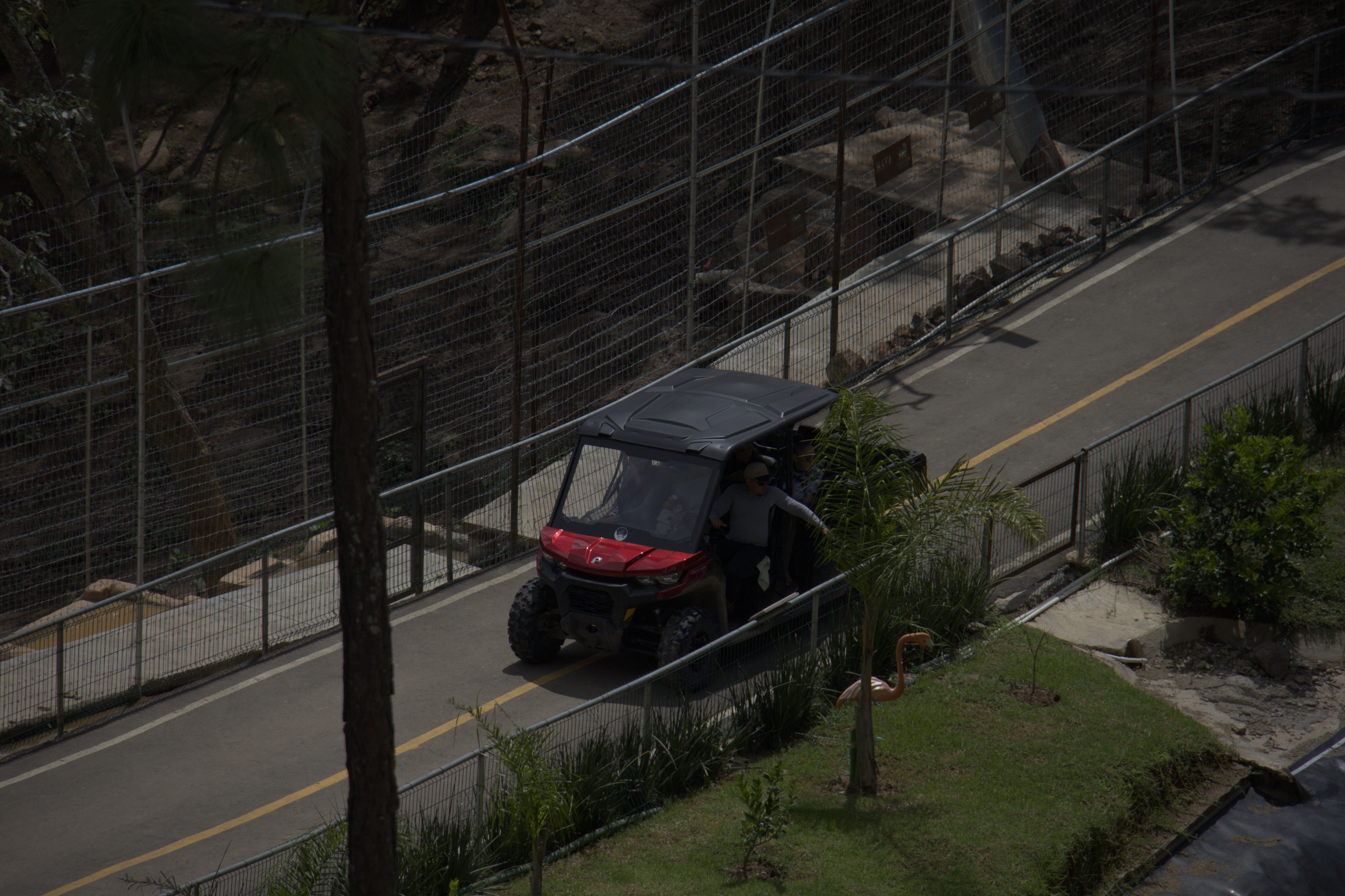 Enrequecimiento Ambiental